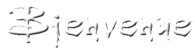 je vous souhaite le B1 venue Sur mon BloGG